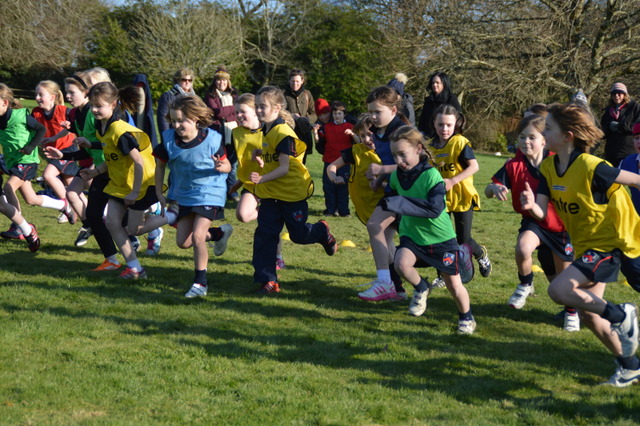 Mount Kelly Prep photo
