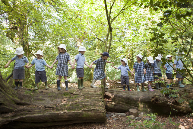 Mount Kelly Prep photo