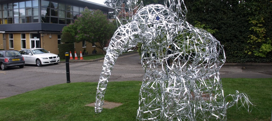 P4Elephant_SCC