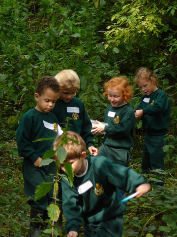 Beechwood Park photo