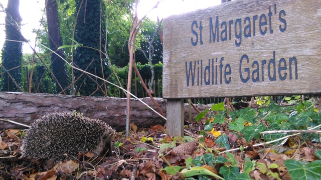 St Margaret's Preparatory School photo