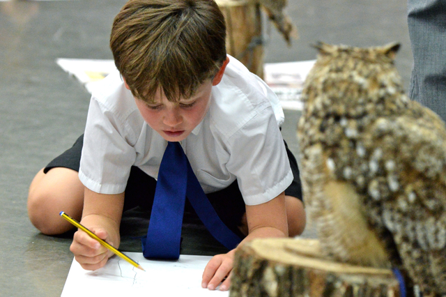 The Raptor Foundation's birds of prey make wonderful artists models