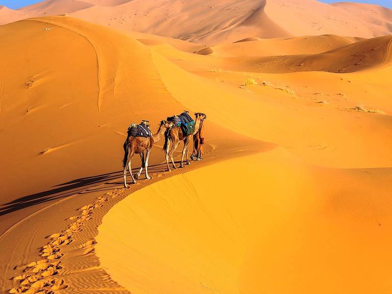 Leukste Kinderactiviteiten in Marrakech