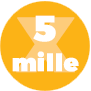 5 per mille