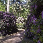 De Waldfriedhoff De Waldfriedhoff