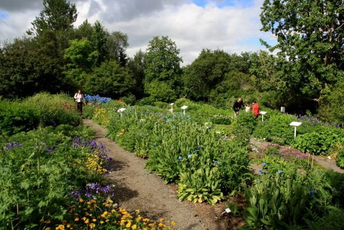 Botanischer Garten Akureyri Botanischer Garten Akureyri