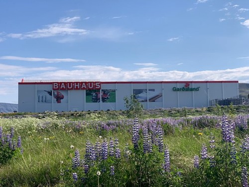 Bauhaus Bauhaus