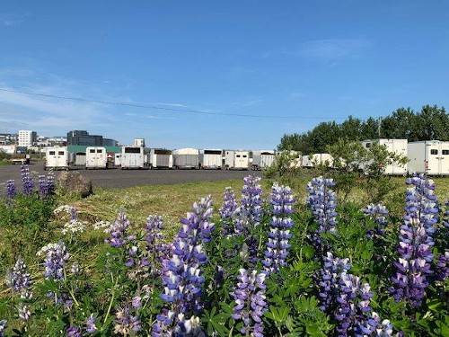 Pferdeställe Víðdalur Pferdeställe Víðdalur