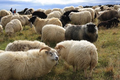 Landwirtschaft Teil 1 Landwirtschaft Teil 1