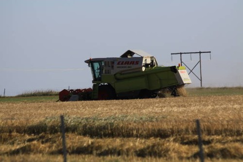 Landwirtschaft Teil 2 Landwirtschaft Teil 2