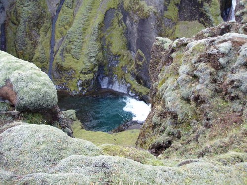 Fjaðrárgljúfur Fjaðrárgljúfur