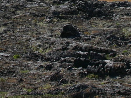 Lavafeld Reykjahlíð Lavafeld Reykjahlíð