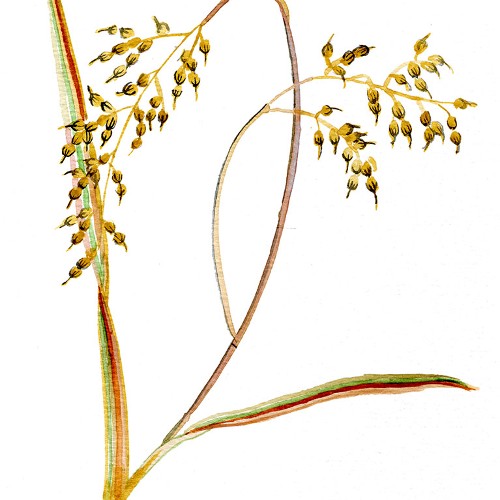 Vor dem Balinesischen Garten Vor dem Balinesischen Garten