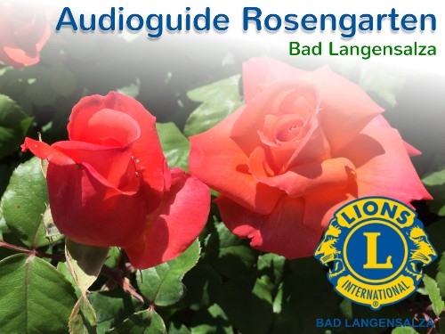Rosengarten Rosengarten