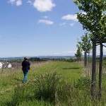Weg durch die Zeiten – Mattenberg Weg durch die Zeiten – Mattenberg