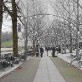 Arbeiter, Alpen und Attrappen - ein Audiowalk über die Berliner Gewerbeausstellung von 1896 Arbeiter, Alpen und Attrappen - ein Audiowalk über die Berliner Gewerbeausstellung von 1896