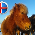 Rund um Island - Tagesetappe Reykjavik - Akureyri Rund um Island - Tagesetappe Reykjavik - Akureyri