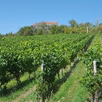 Weinwanderweg Ipsheim Weinwanderweg Ipsheim