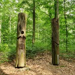 Unterwegs im Sauener Wald Unterwegs im Sauener Wald
