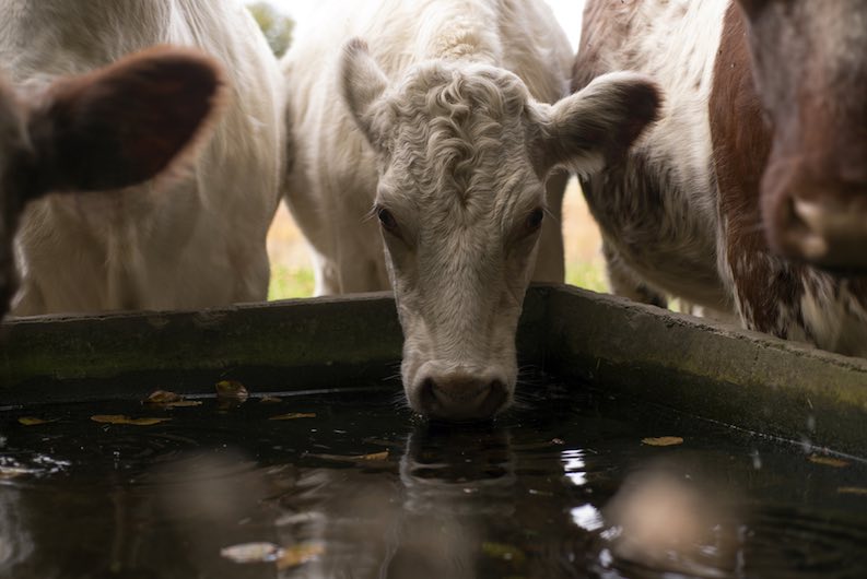 5 Important Water Facts No One Should Ignore