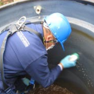 Solución garantizada-Ecología & Sanamiento Ambiental - Fumigaciones