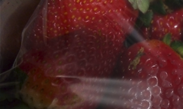 Fresas