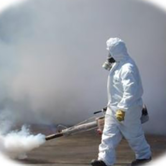 Control de plagas en Rancagua