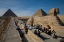 The Sphinx