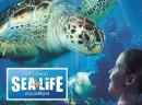 Sea Life Orlando