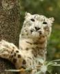 Central Park Zoo