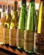 Sourced Adventures Northfork Long Island Wine Tour