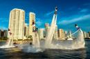 Gray Line Miami