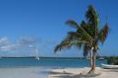 Gray Line Miami
