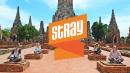 Stray Asia