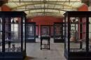 Neues Museum Berlin