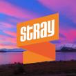 Stray New Zealand