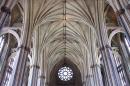 Bristol Cathedral