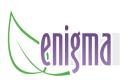 Salt room ENIGMA