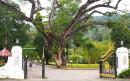 Botanical Gardens