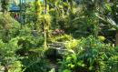 The Kuala Lumpur Butterfly Park