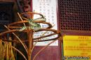 Snake Temple