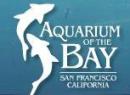 Aquarium Of The Bay