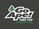 Go Ape Treetop Adventure