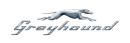 Greyhound