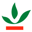 Crédit Agricole du Maroc