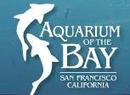 Aquarium Of The Bay