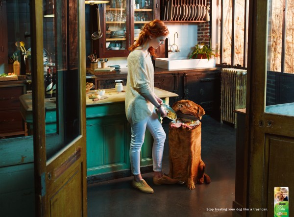 12. Purina Dog Chow