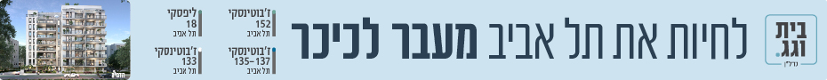 https://www.madlan.co.il/projects/%D7%96%D7%91%D7%95%D7%98%D7%99%D7%A0%D7%A1%D7%A7%D7%99_133_%D7%AA%D7%9C_%D7%90%D7%91%D7%99%D7%91