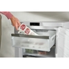 Miele F 4001 D ws Static Under Counter Freezer, White, D Rated