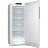 Miele FN 4322 D-1 EU1 No Frost Tall Freezer, White, D Rated